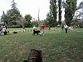 img 148